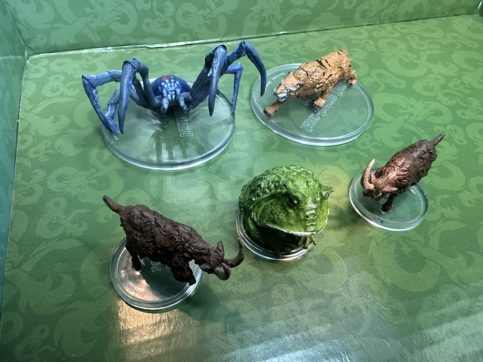 Lot of Animals